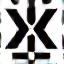 X Icon